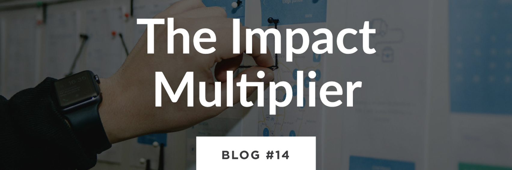 Graphic title for blog #14, 'The Impact Multiplier'.