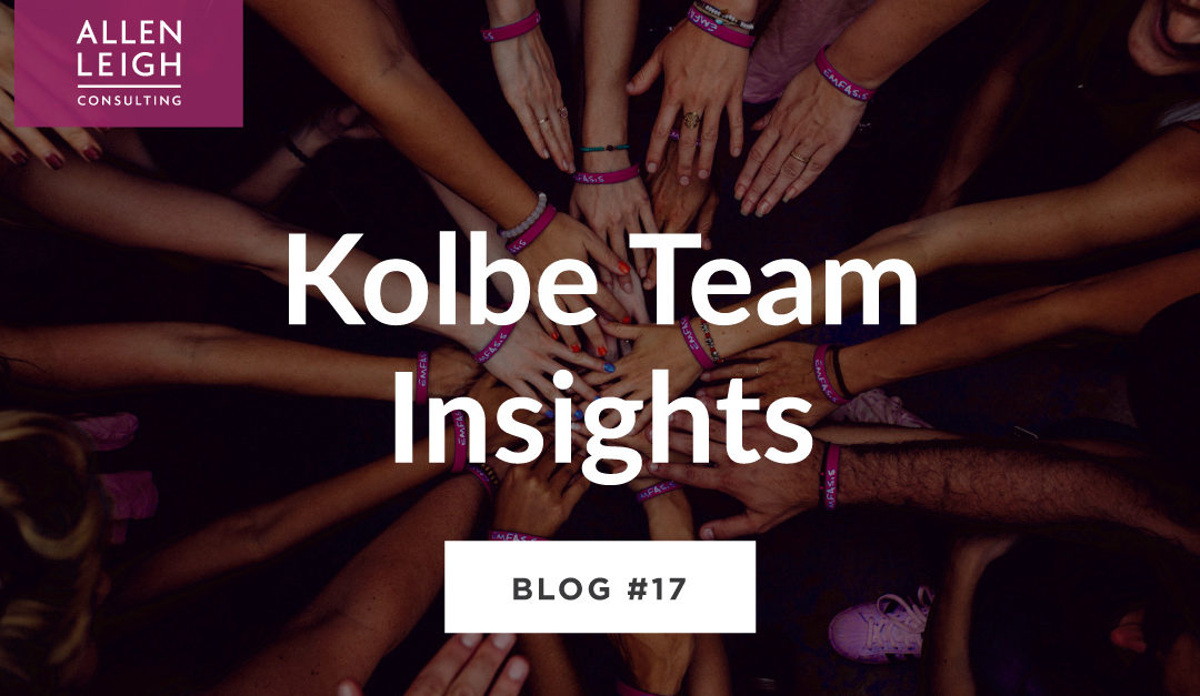 Kolbe Team Insights Cover Image