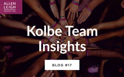 Kolbe Team Insights.