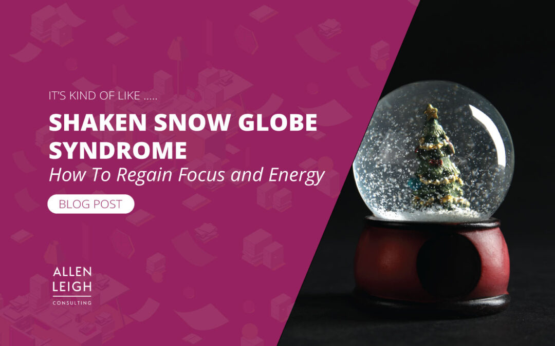 Time & Energy; Shaken Snow Globe Syndrome and Regaining Focus & Energy