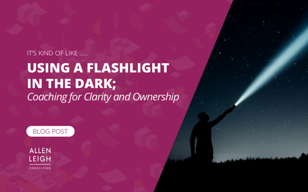 Blog title on a graphic showing someone with a flashlight.