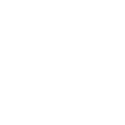 Allen Leigh Consulting